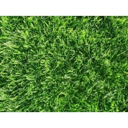 Suelo-Pavimiento Fitness de Césped Artificial en Rollo 20m2 / Genérico (Sin marca)