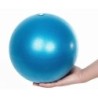 Balón Pequeño de Yoga-Pilates / Genérico (Sin marca)